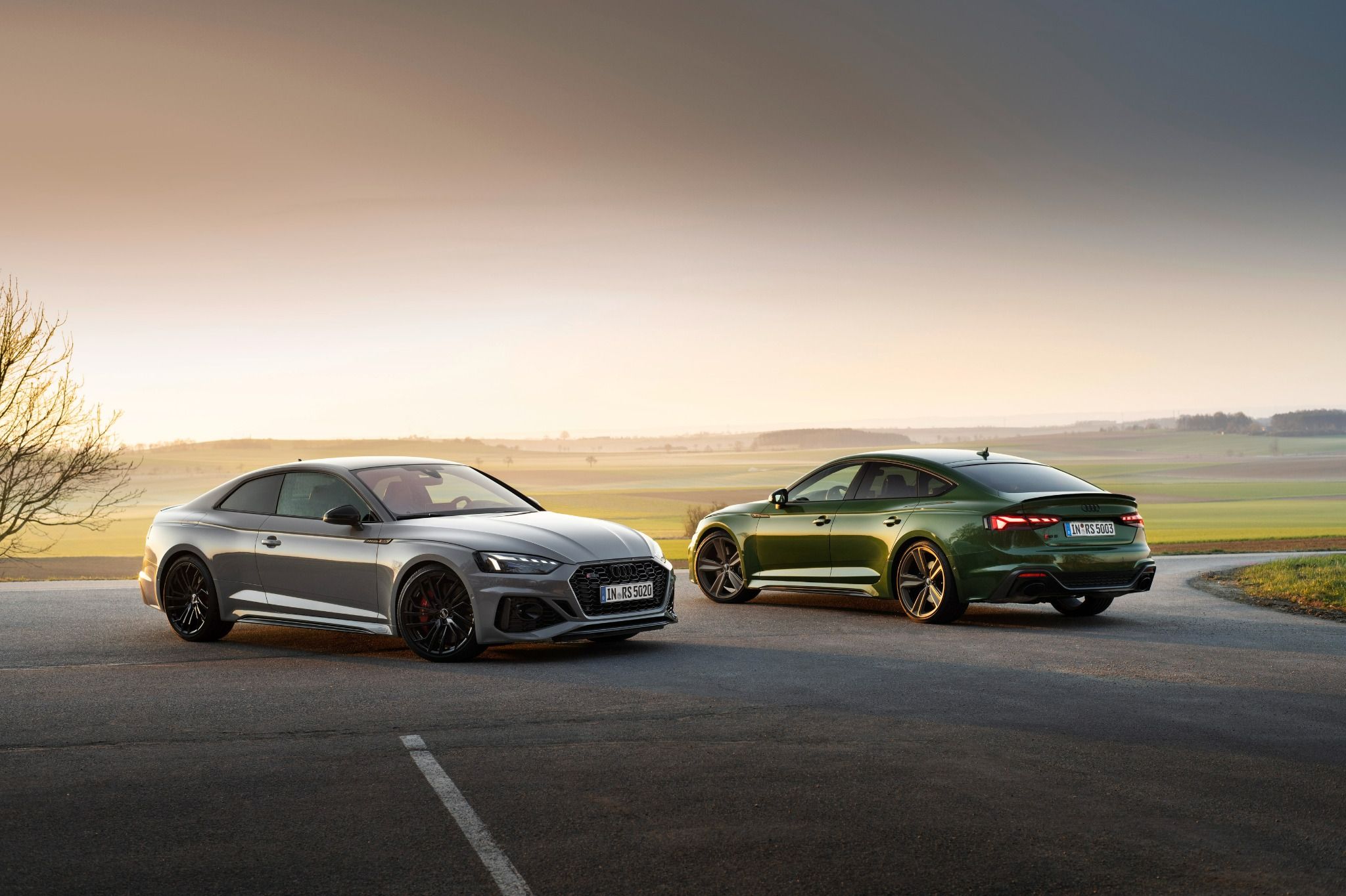 Two Audi RS5 parked on a road