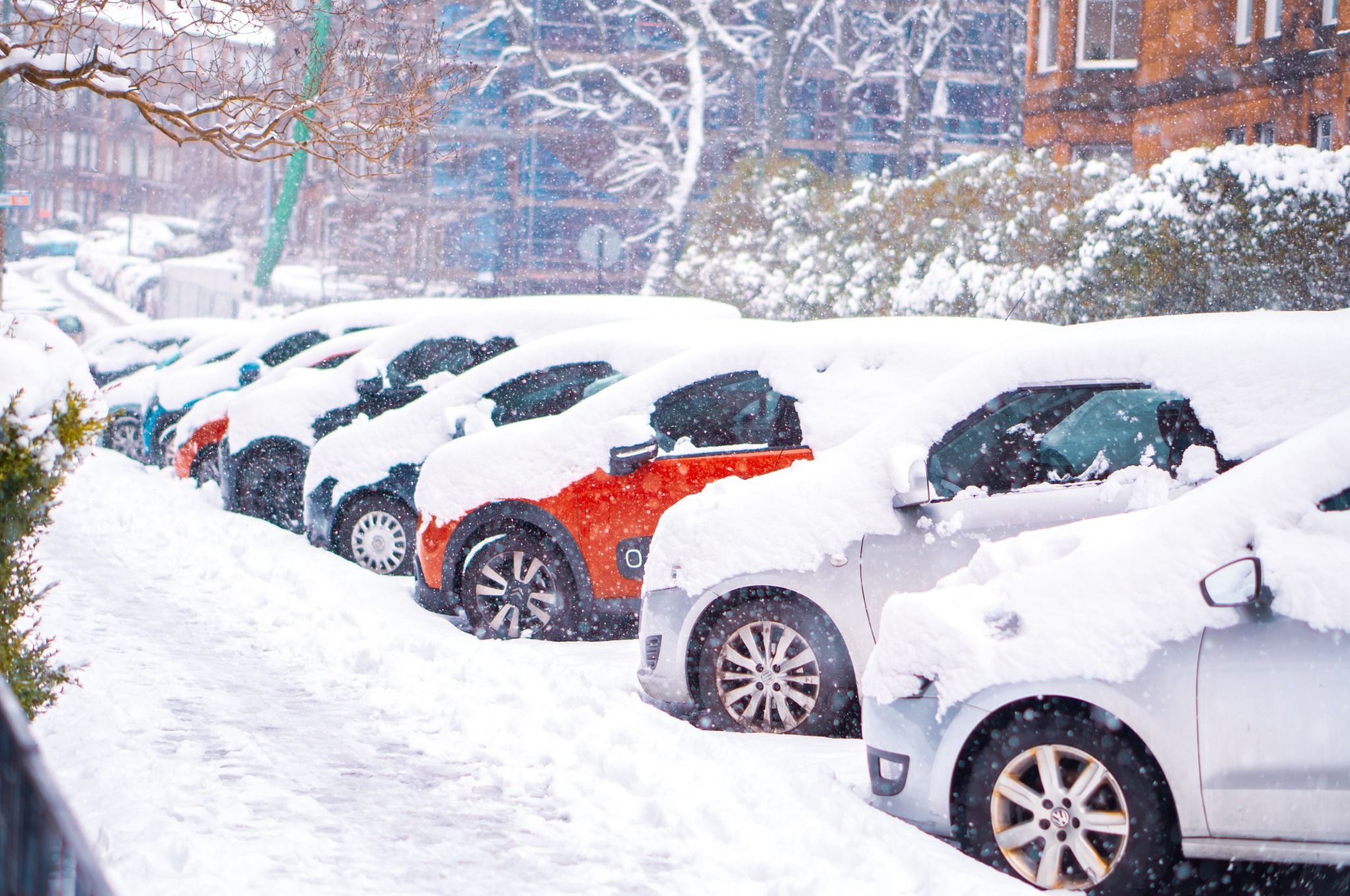 Frozen Cars